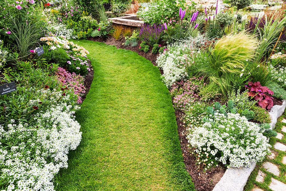 Création et aménagement de jardin et parc en Gironde